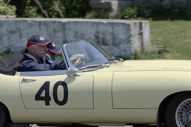_7d20087.jpg