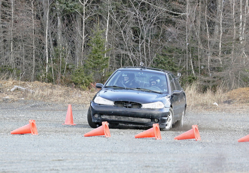 _5d31060.jpg