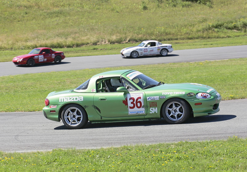 _5d33065.jpg