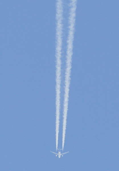 _5d38269.jpg