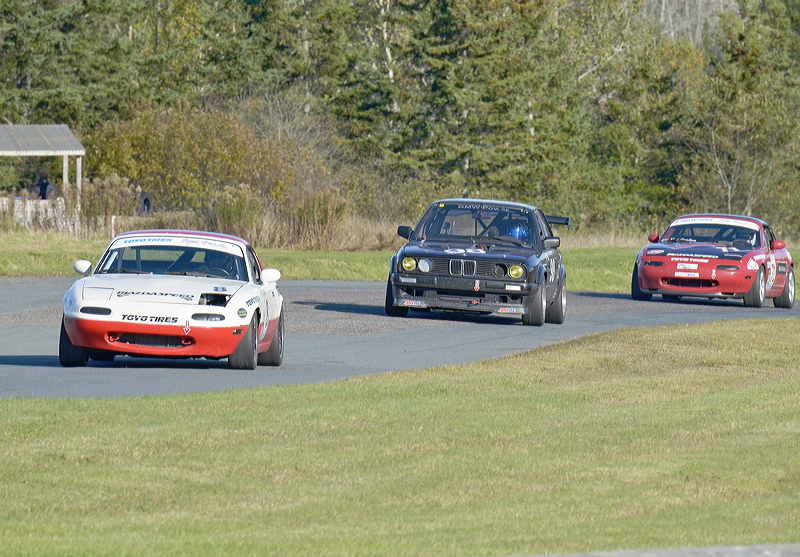 _dsc3352.jpg