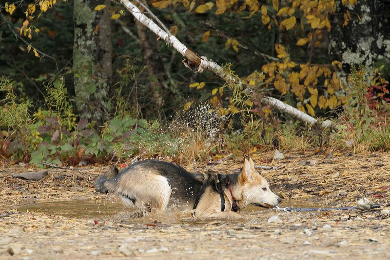 _mg_3075.jpg
