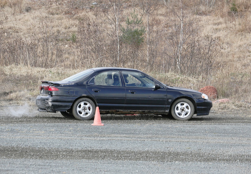 _5d39383.jpg