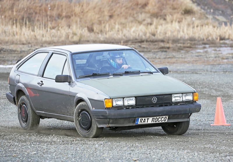 _5d31114.jpg